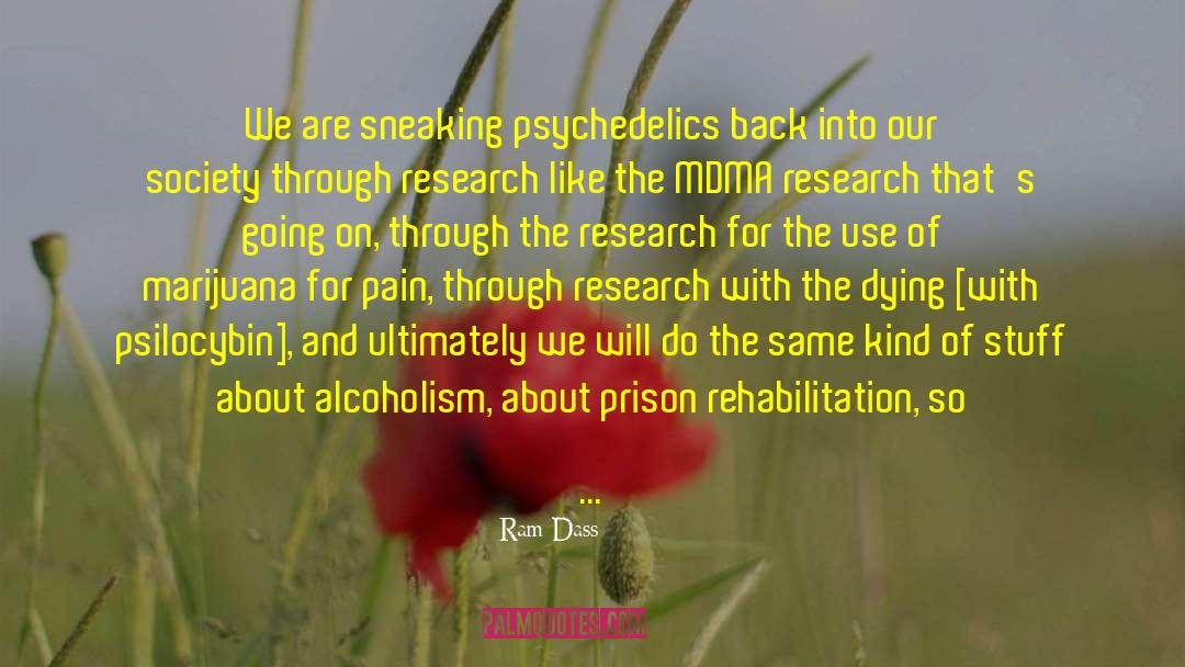 Psychedelics quotes by Ram Dass
