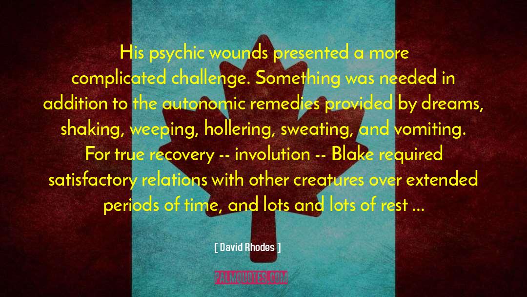 Psychic Witch quotes by David Rhodes