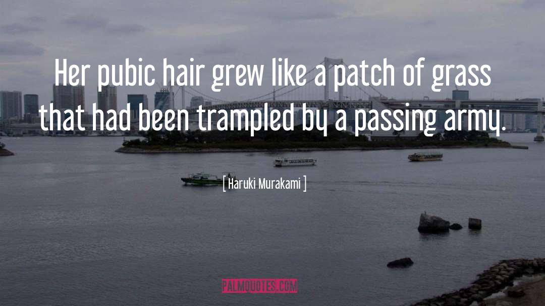 Pubic Hair quotes by Haruki Murakami
