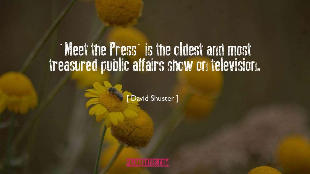Public Affairs quotes by David Shuster