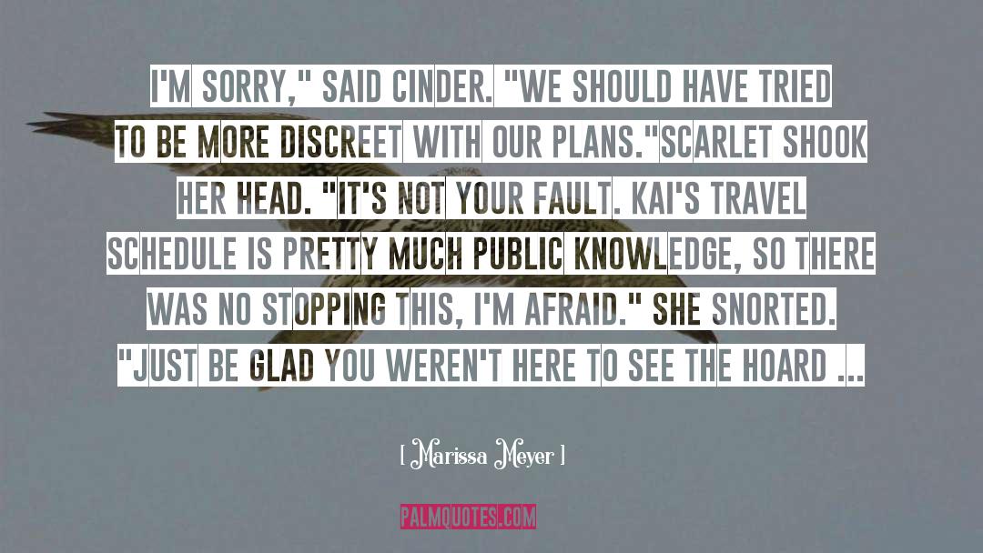 Public Defenders quotes by Marissa Meyer