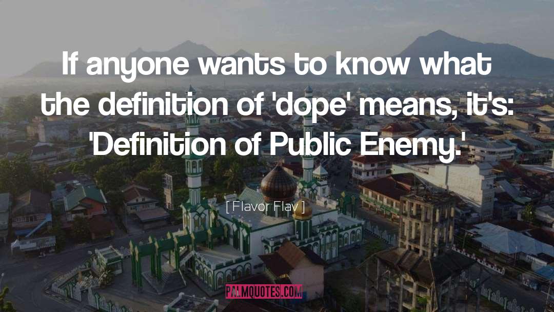 Public Enemies quotes by Flavor Flav