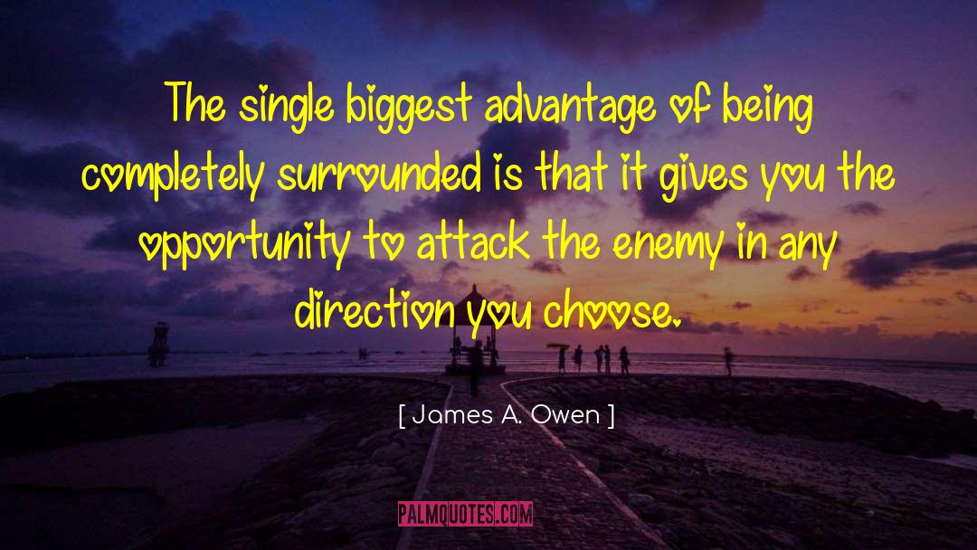 Public Enemy quotes by James A. Owen