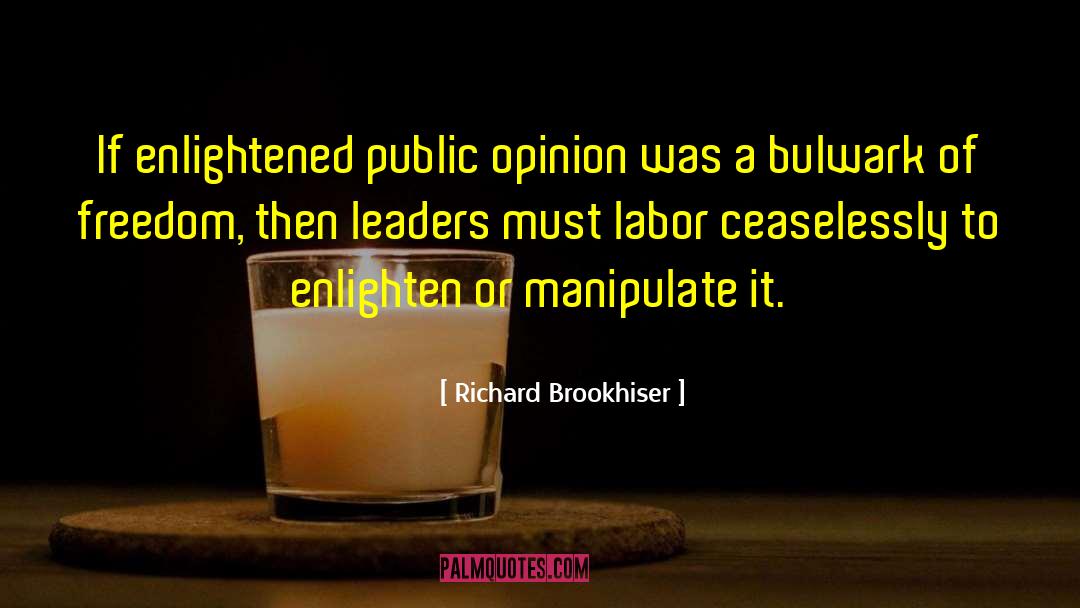 Public Enlightenment quotes by Richard Brookhiser