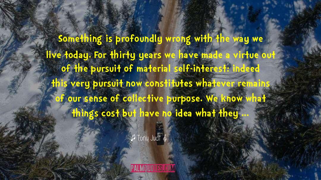 Public Goods quotes by Tony Judt