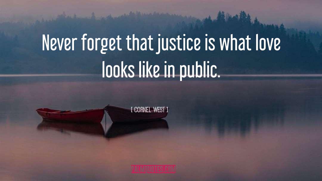 Public Justice quotes by Cornel West