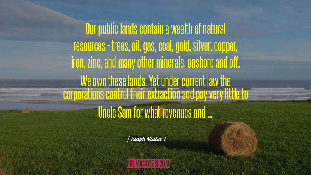 Public Lands quotes by Ralph Nader