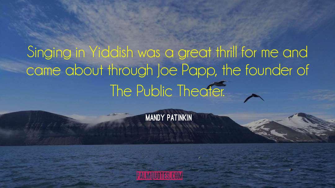 Public Libraries quotes by Mandy Patinkin