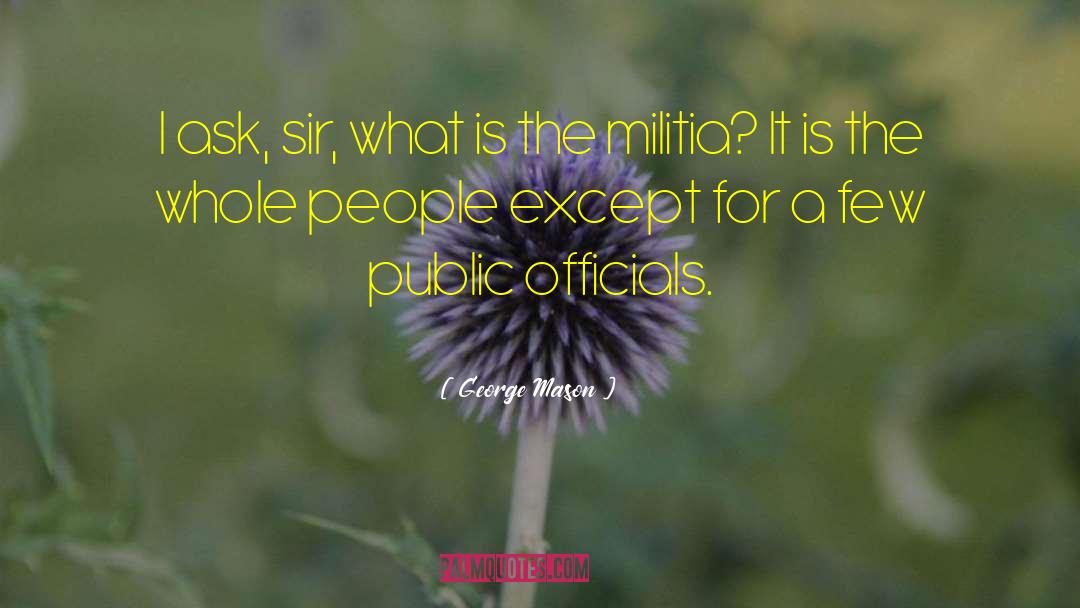 Public Officials quotes by George Mason