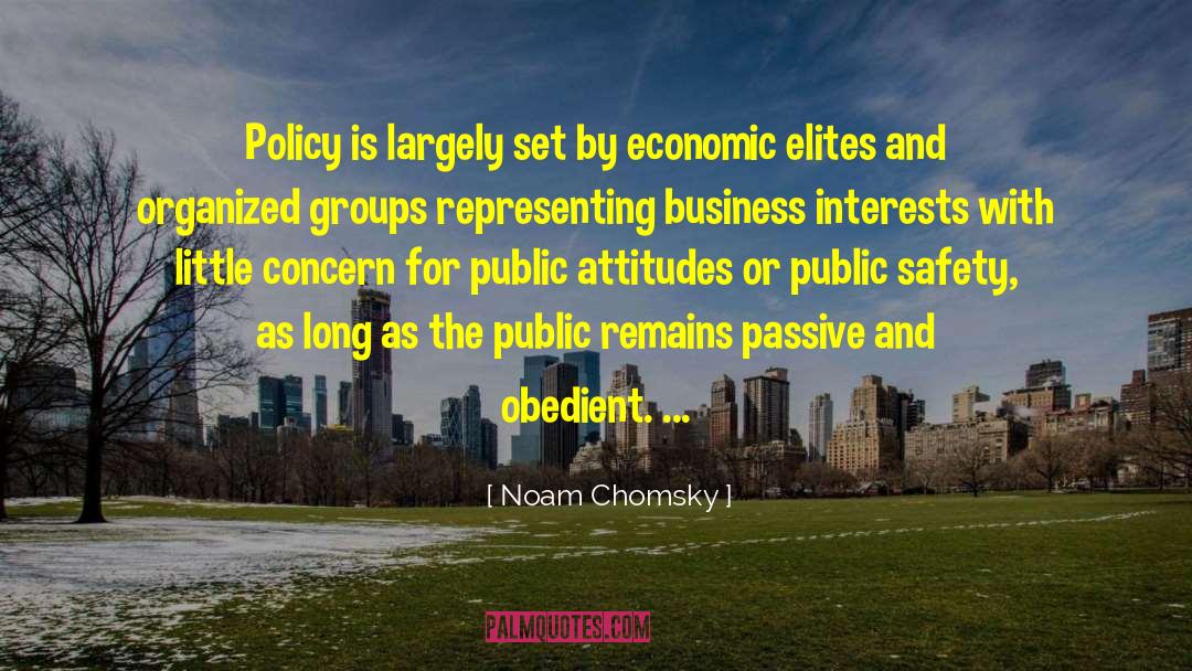 Public Safety quotes by Noam Chomsky