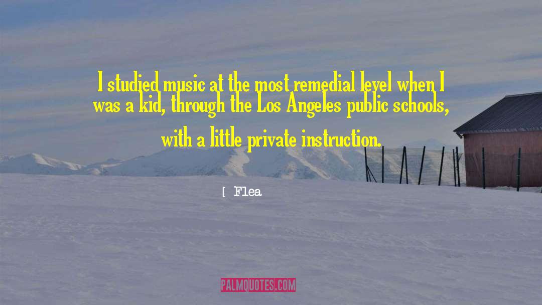 Public Schools quotes by Flea