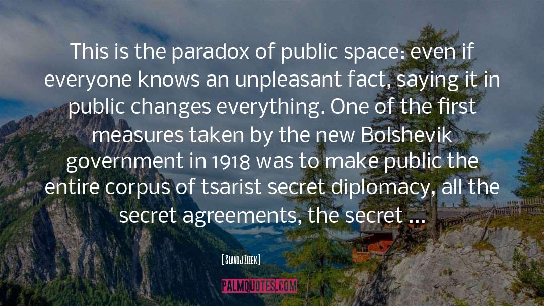 Public Space quotes by Slavoj Zizek