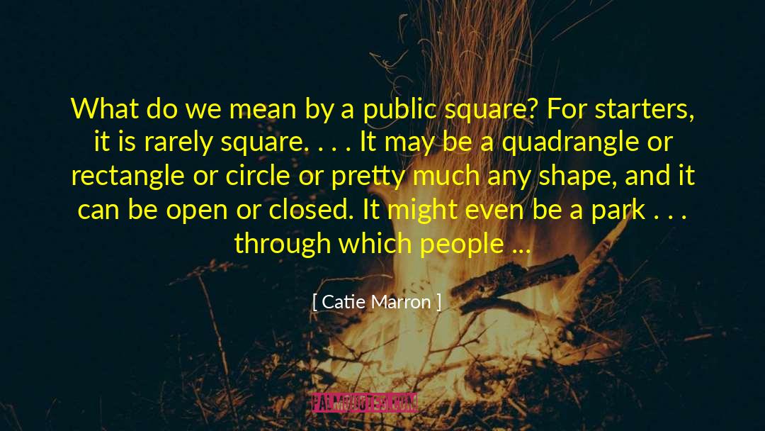 Public Space quotes by Catie Marron