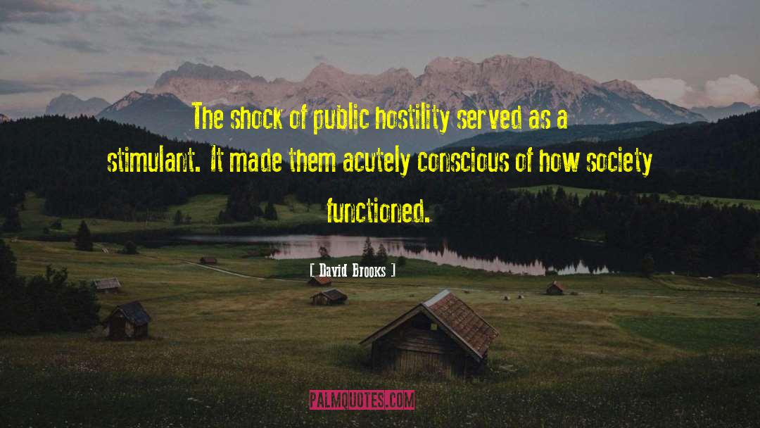 Public Value quotes by David Brooks