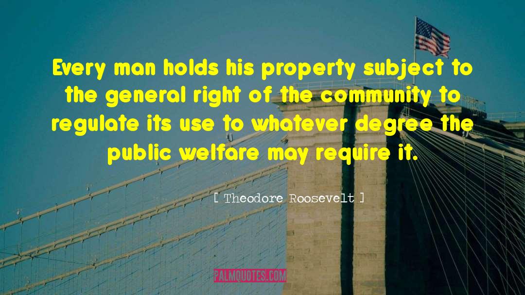 Public Welfare quotes by Theodore Roosevelt