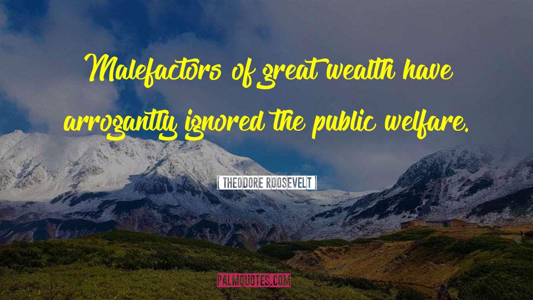 Public Welfare quotes by Theodore Roosevelt