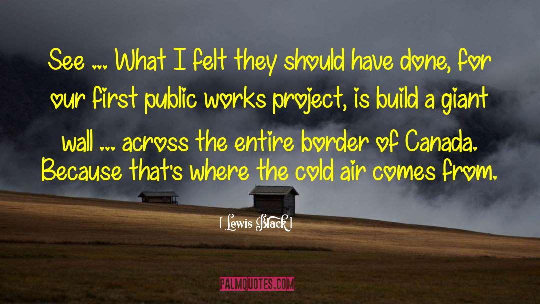 Public Works quotes by Lewis Black