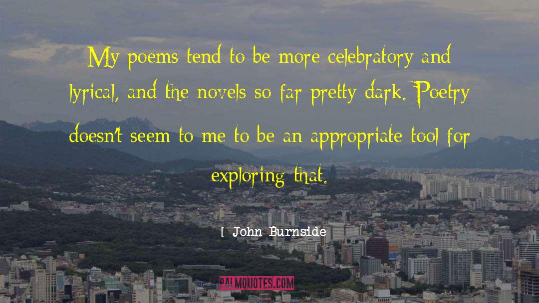 Publishing Novels quotes by John Burnside