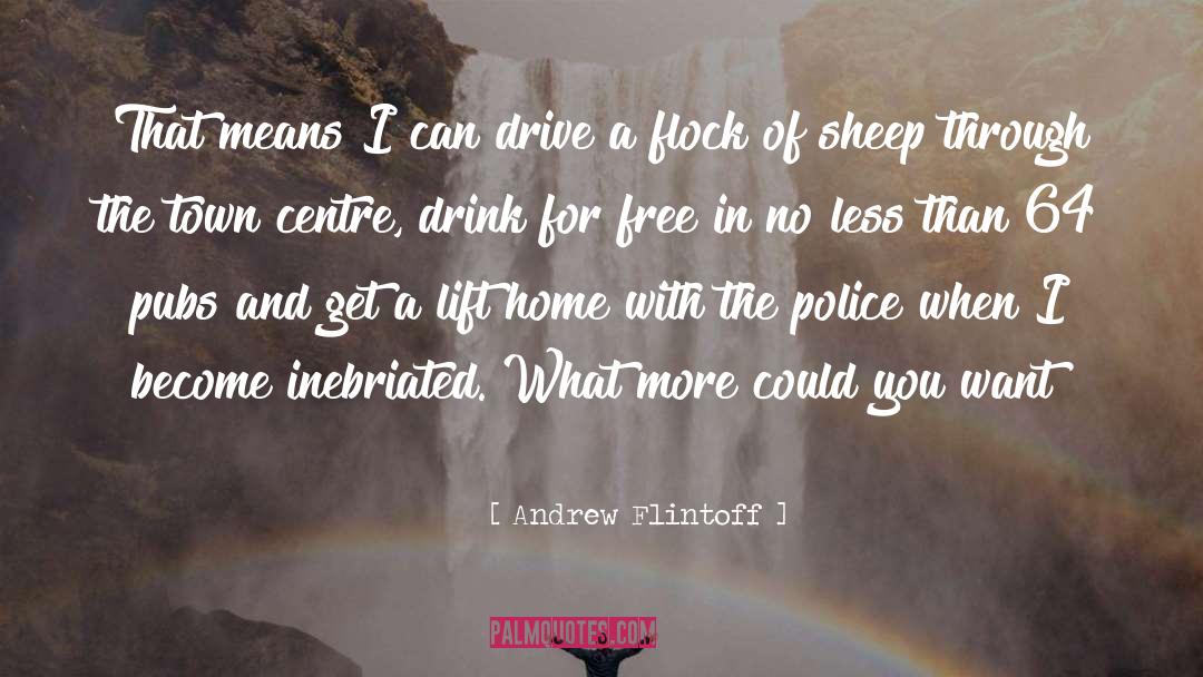 Pubs quotes by Andrew Flintoff