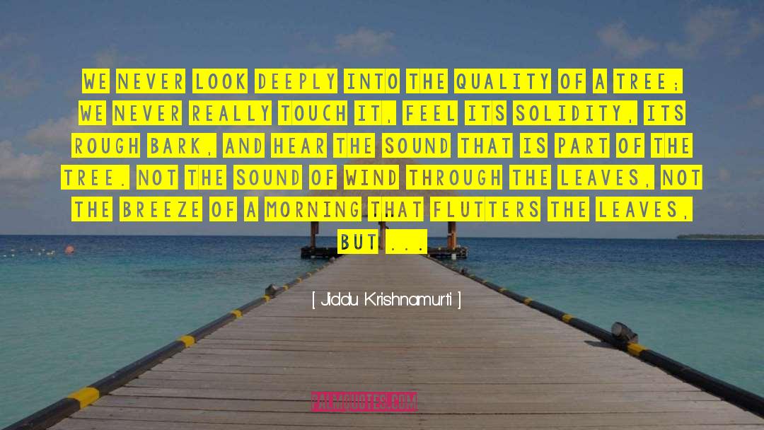 Puchid Sound quotes by Jiddu Krishnamurti
