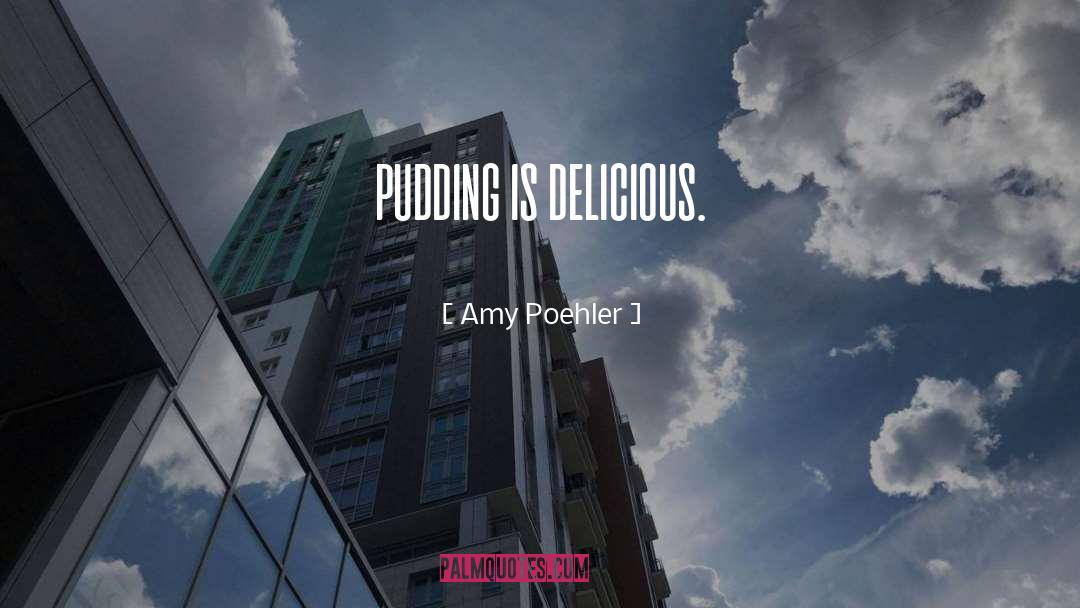 Pudding quotes by Amy Poehler