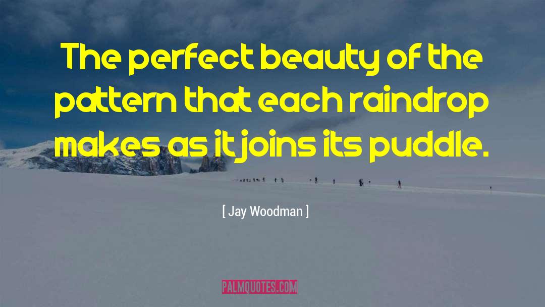 Puddle quotes by Jay Woodman
