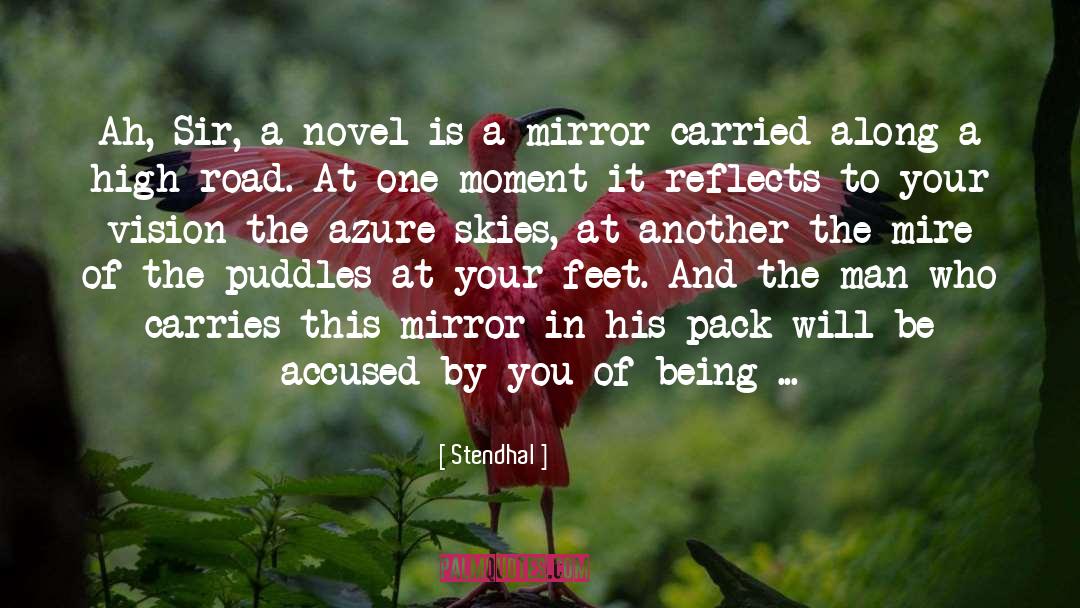 Puddle quotes by Stendhal