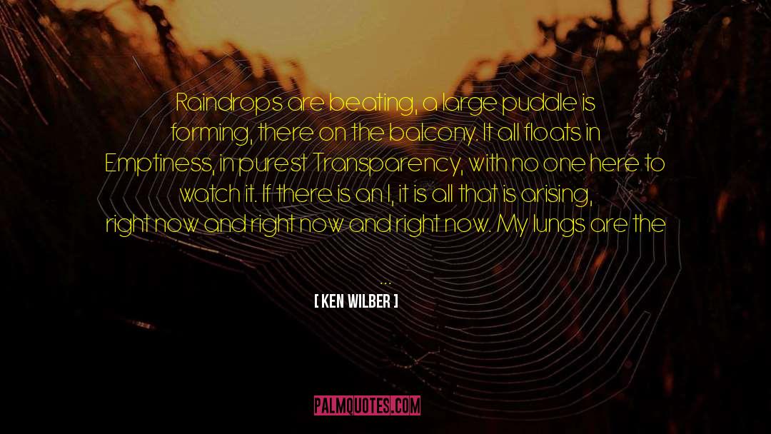 Puddle quotes by Ken Wilber