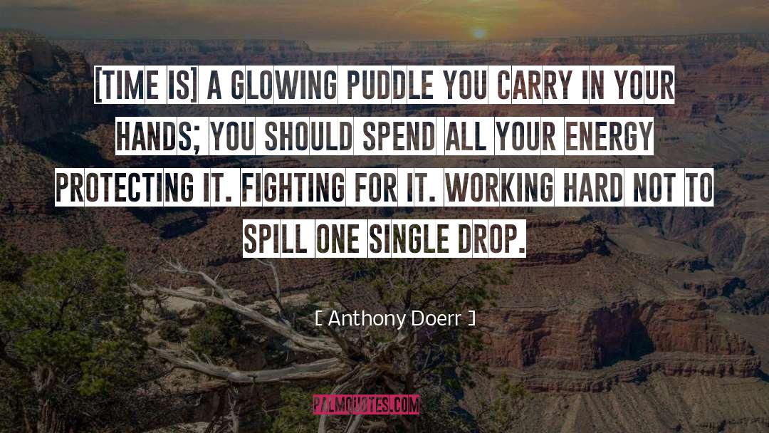 Puddle quotes by Anthony Doerr