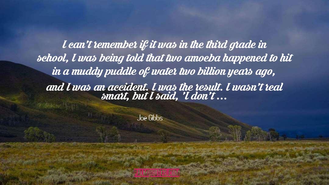 Puddle quotes by Joe Gibbs