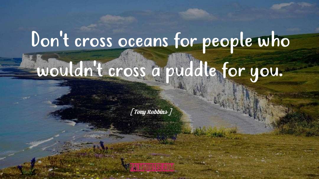 Puddle quotes by Tony Robbins