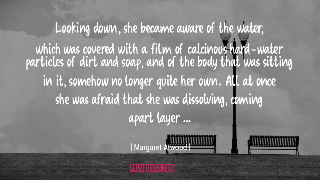 Puddle quotes by Margaret Atwood