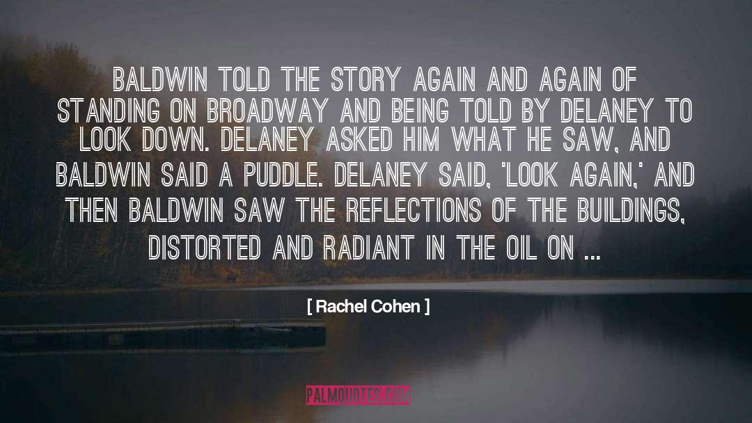Puddle quotes by Rachel Cohen