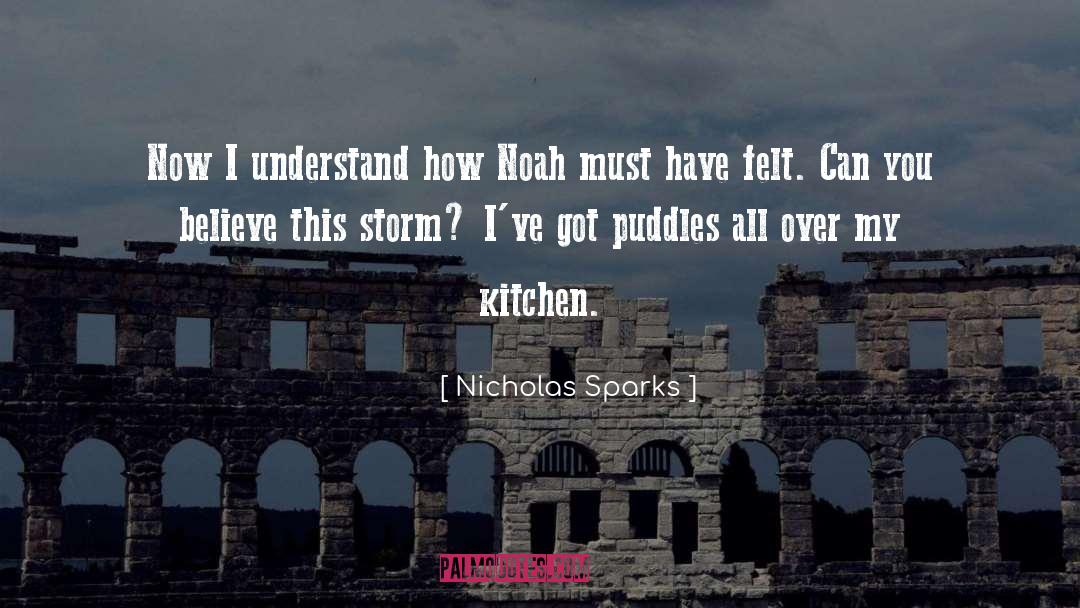 Puddles quotes by Nicholas Sparks