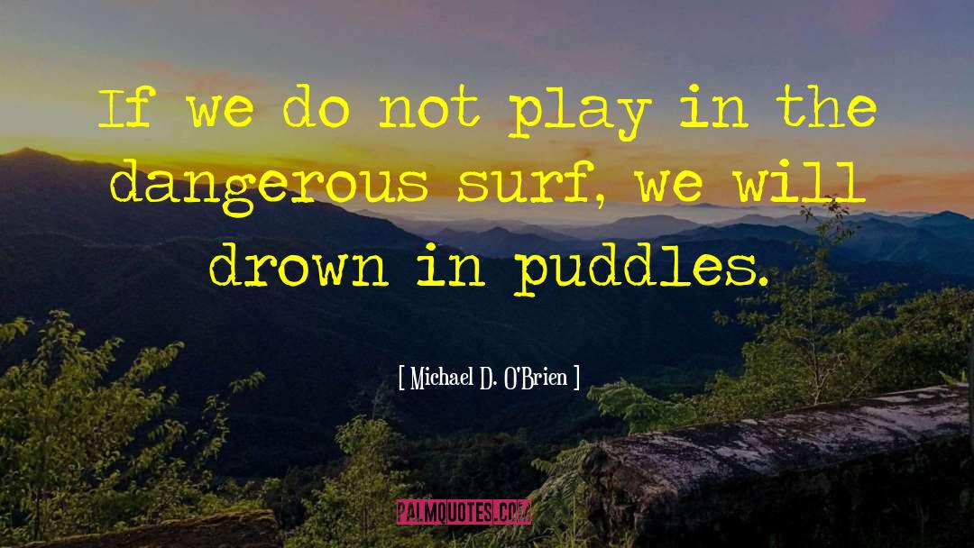 Puddles quotes by Michael D. O'Brien