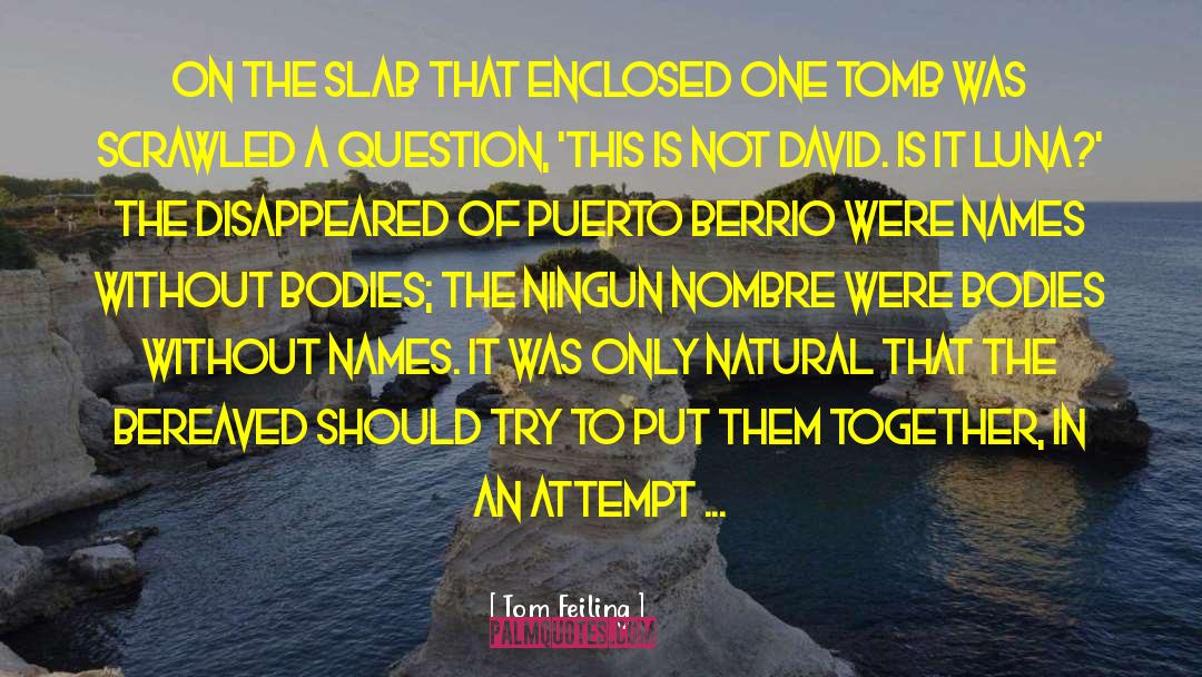 Puerto quotes by Tom Feiling