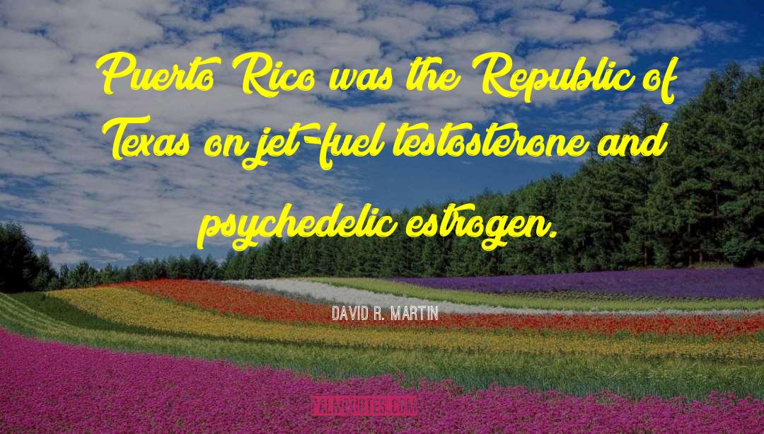 Puerto Rican quotes by David R. Martin