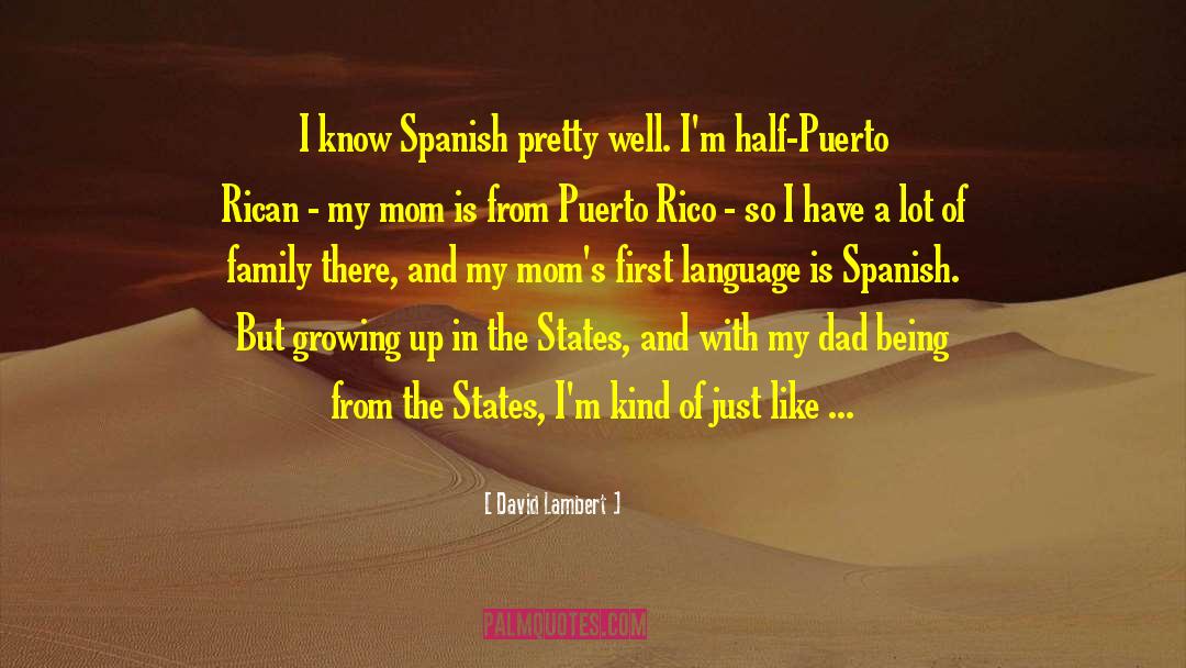 Puerto Rican quotes by David Lambert