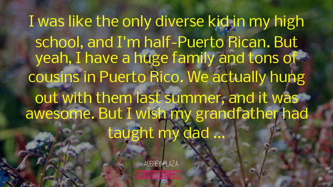 Puerto Rican quotes by Aubrey Plaza