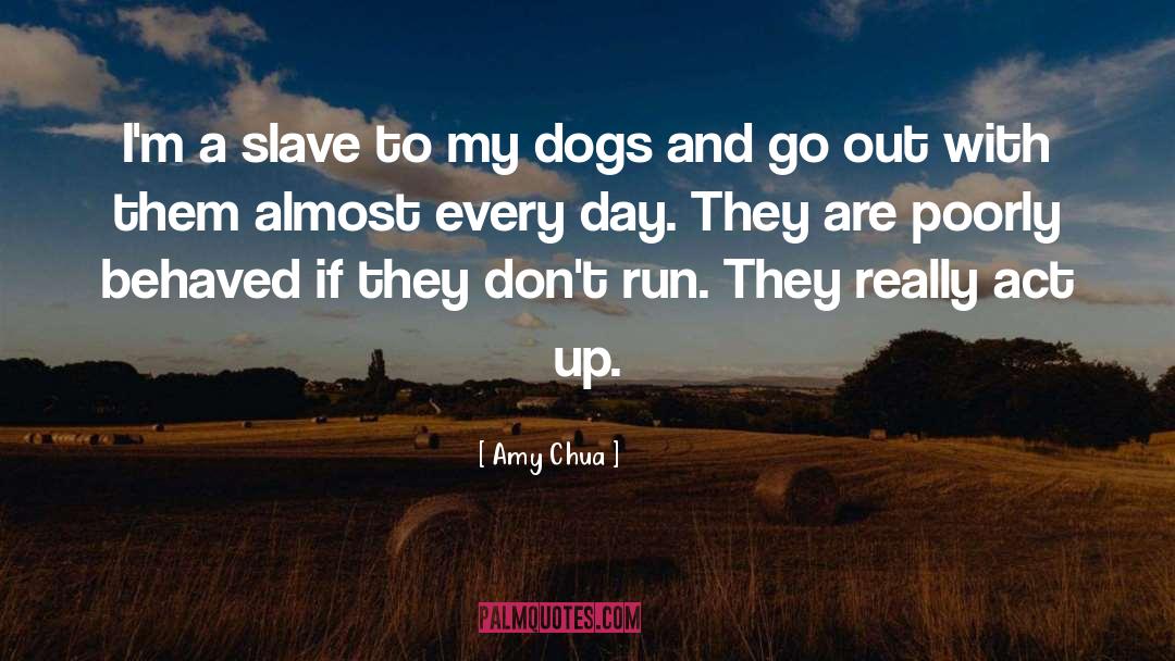 Puggle Dogs quotes by Amy Chua