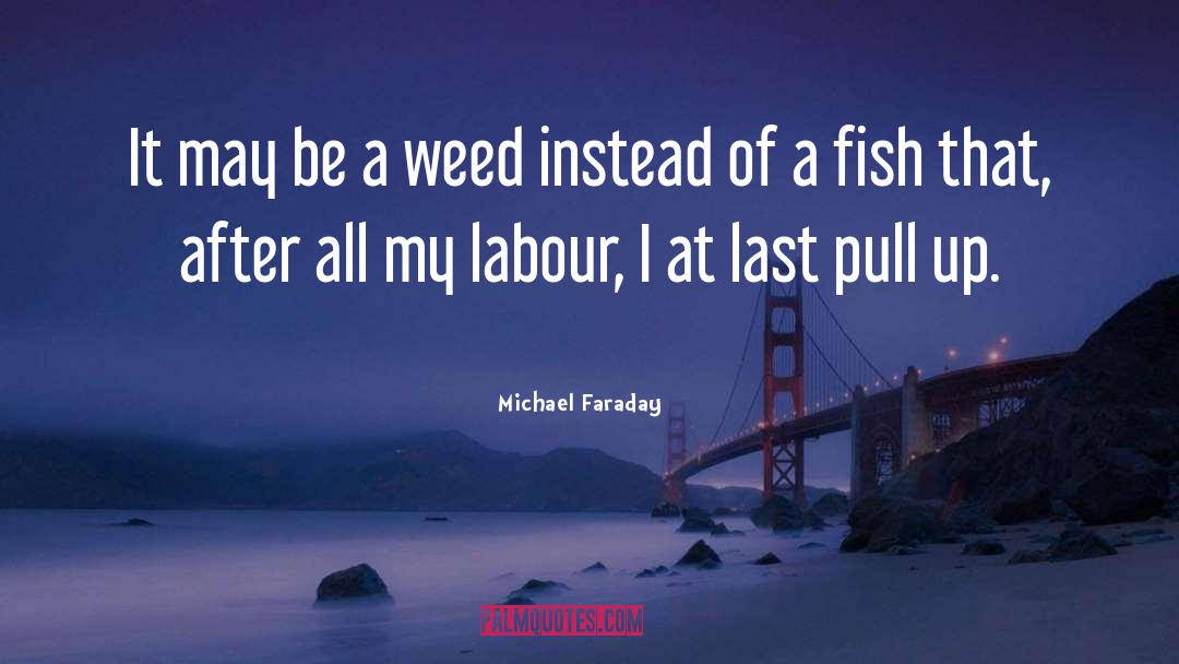 Pull Ups quotes by Michael Faraday