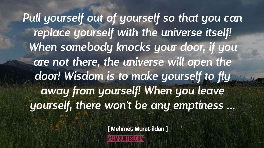 Pull Yourself quotes by Mehmet Murat Ildan