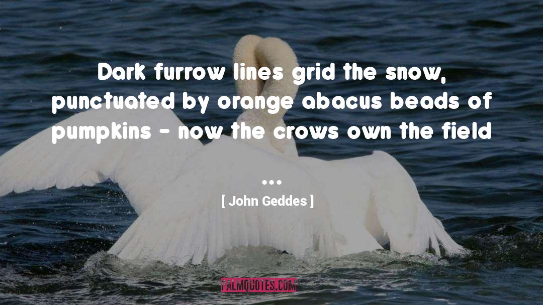 Pumpkin quotes by John Geddes