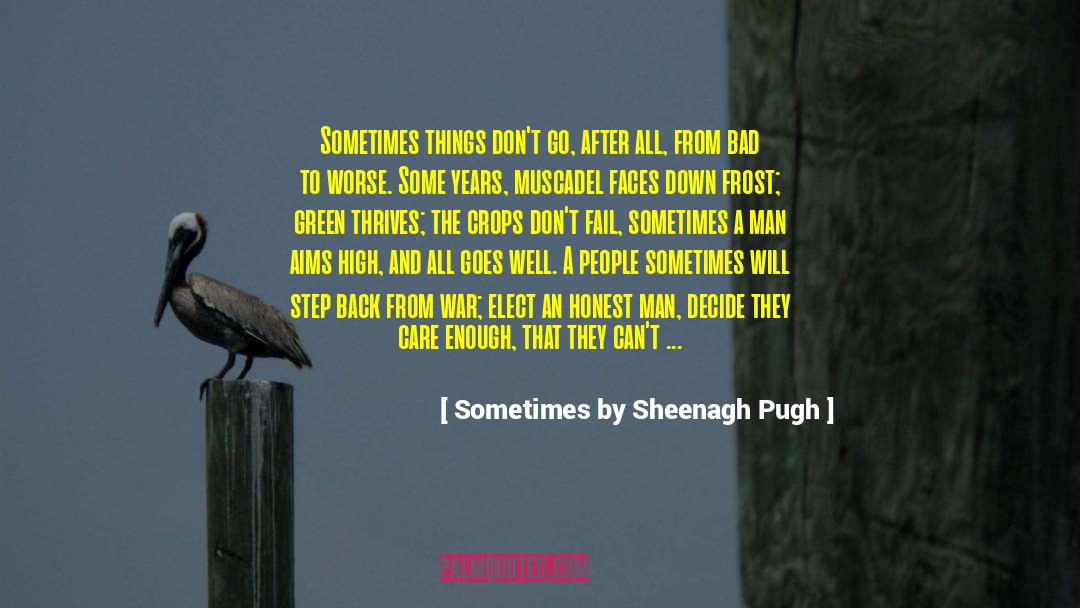 Punchable Faces quotes by Sometimes By Sheenagh Pugh