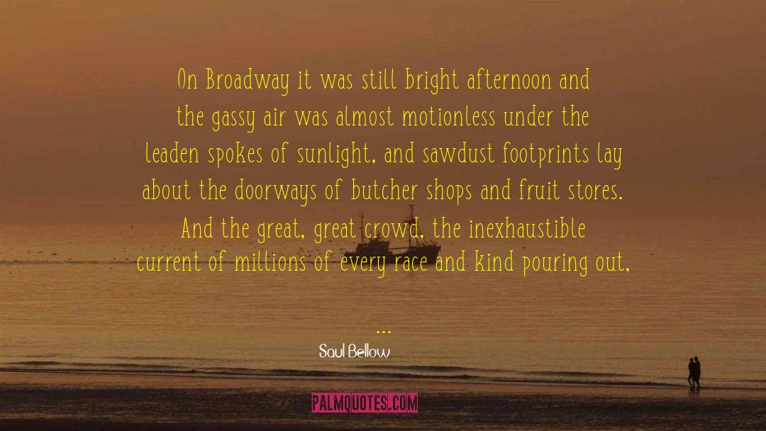 Punched In The Face quotes by Saul Bellow