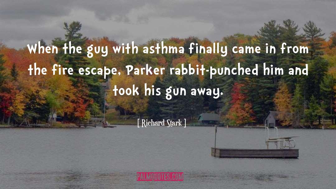 Punched quotes by Richard Stark