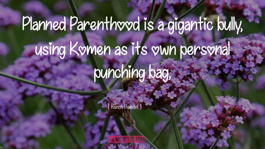 Punching Bag quotes by Karen Handel