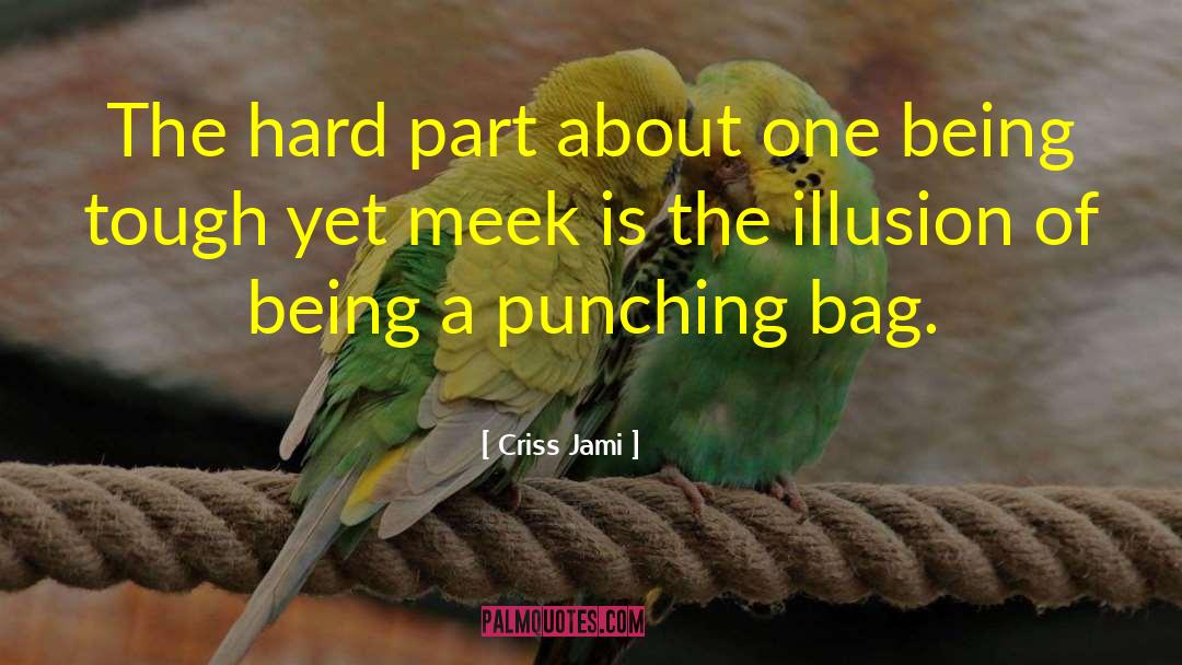 Punching Bag quotes by Criss Jami