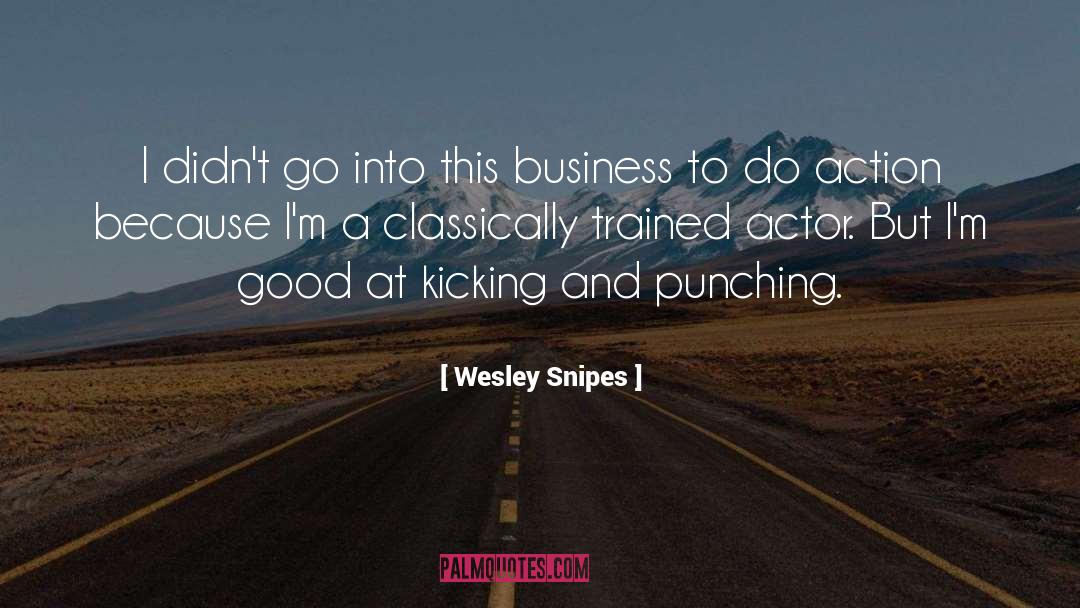 Punching quotes by Wesley Snipes