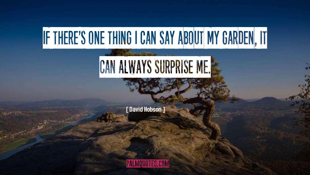 Punctual Surprise quotes by David Hobson